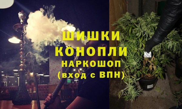 ГАЛЛЮЦИНОГЕННЫЕ ГРИБЫ Абаза