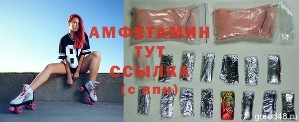 ГАЛЛЮЦИНОГЕННЫЕ ГРИБЫ Абаза
