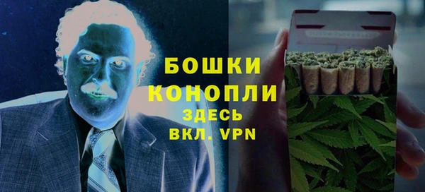 ГАЛЛЮЦИНОГЕННЫЕ ГРИБЫ Абаза